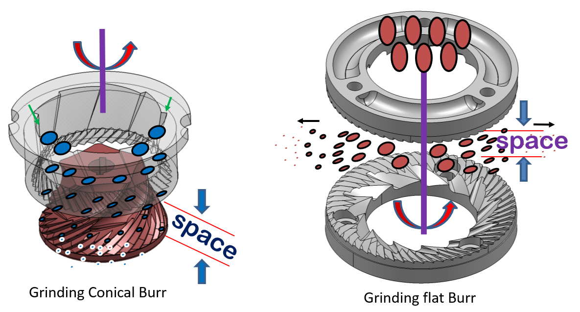 Grinder Ceramic Conical Vs. Flat Burr A Guide To The Differences jh